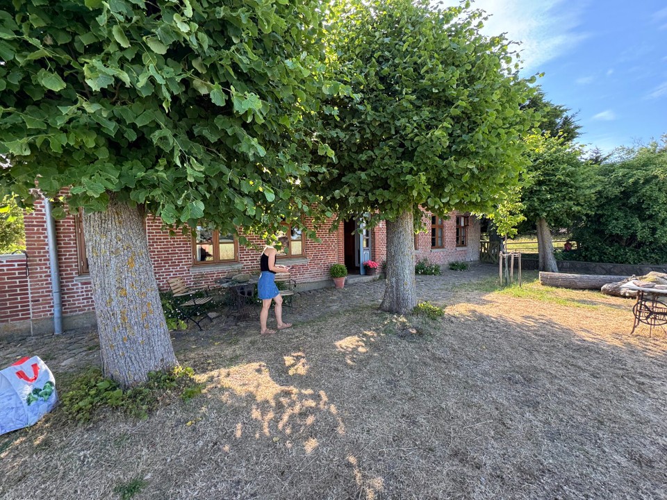 Deutschland - Fehmarn - 