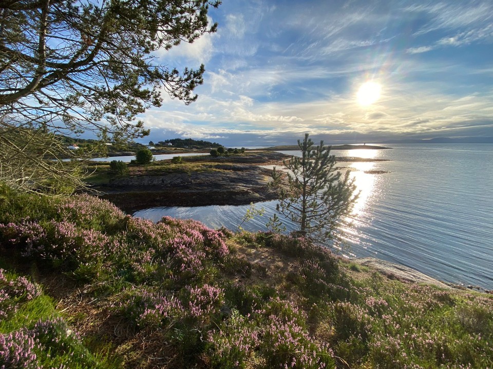 Norwegen - Hestvika - 