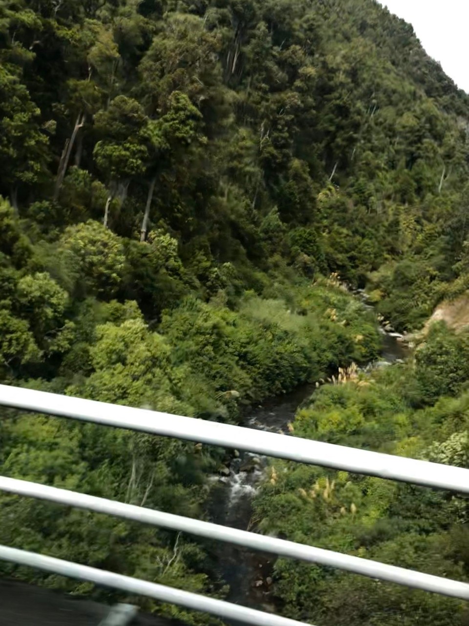 Neuseeland - Motutere - Abwechslungsreiche Landschaft, hier ein Flusslauf 