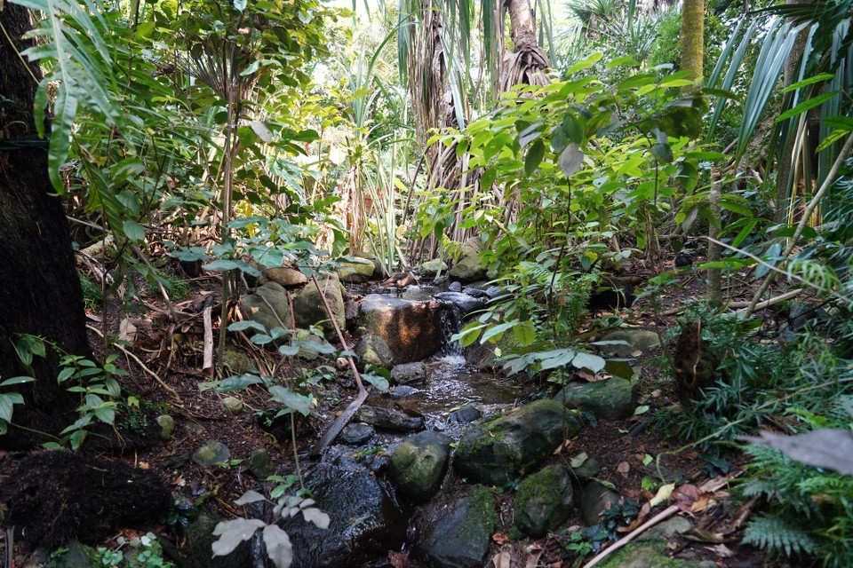 Madagaskar - unbekannt - 