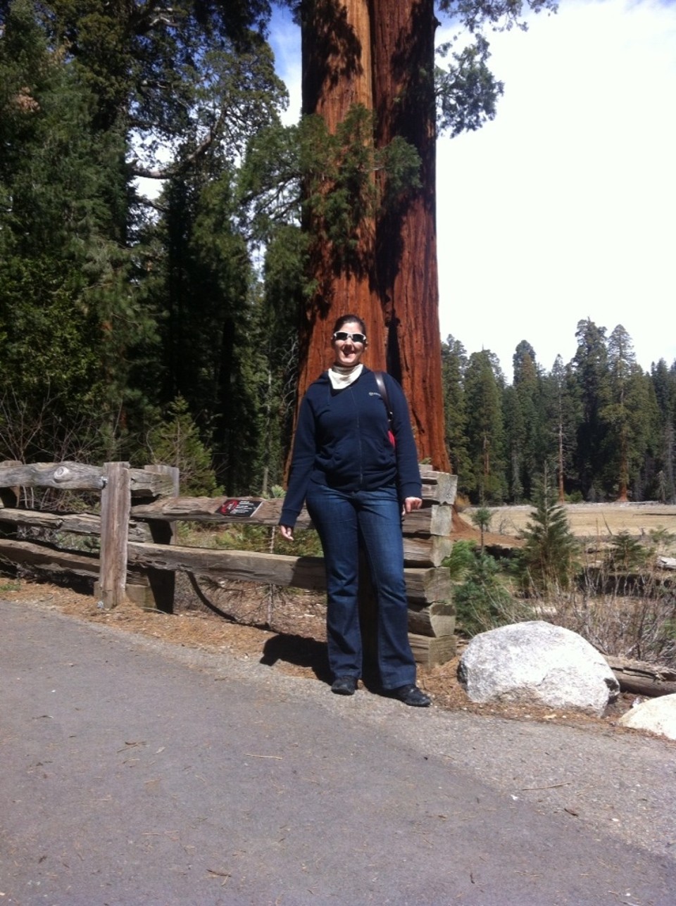 Egyesült Államok - Sequoia National Park - 