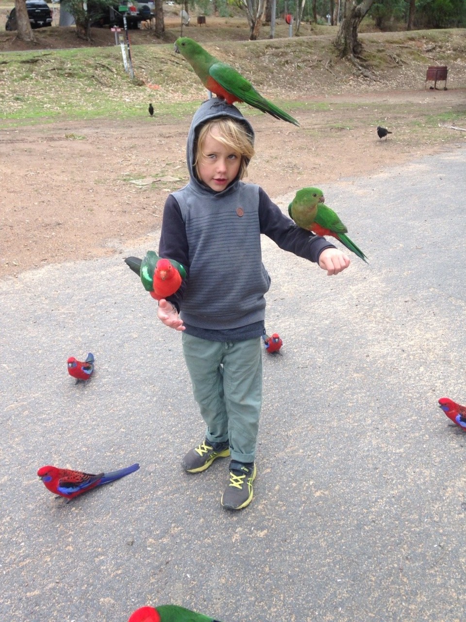 Australia - Burrinjuck - 