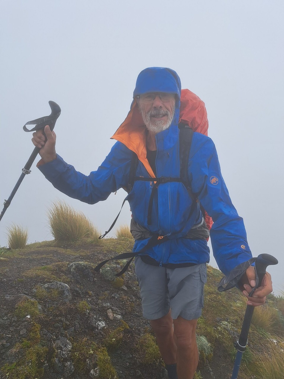 Neuseeland - Te Aroha trail PK - 