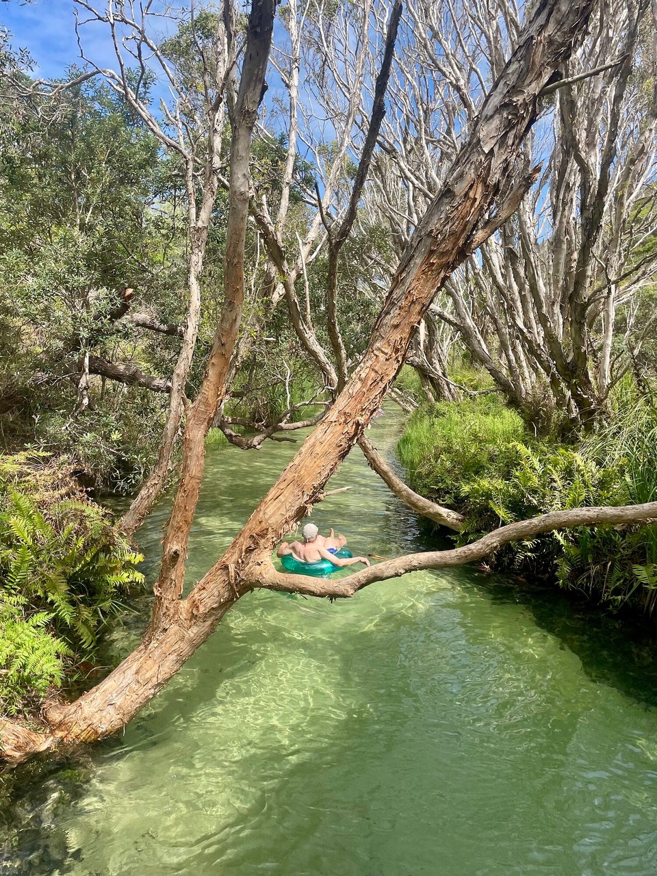 Australien - Noosaville - 