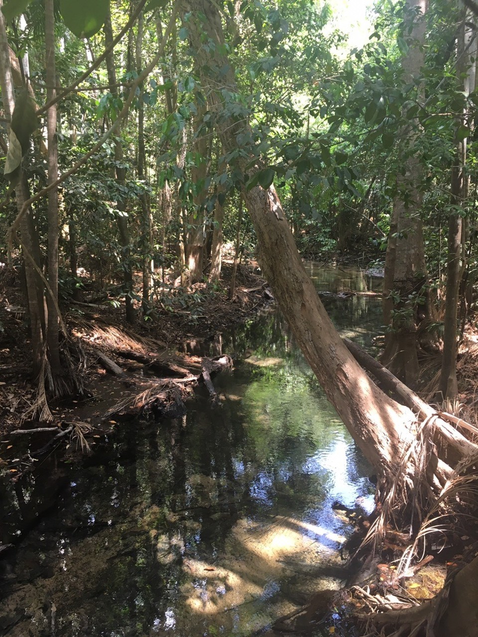 Ausztrália - Berry Springs - 