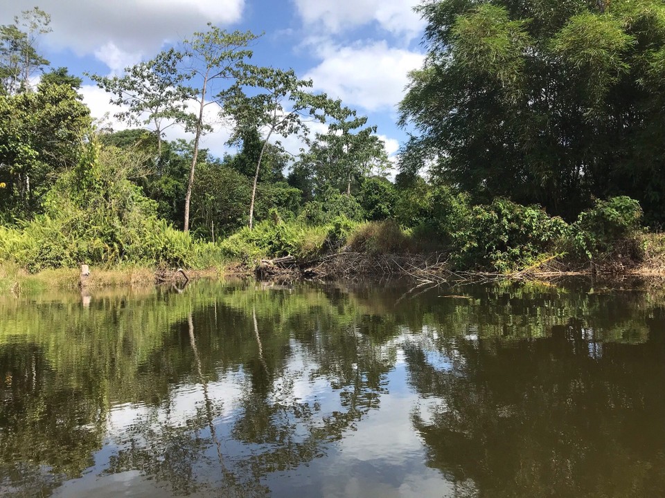 Costa Rica - San Carlos - 