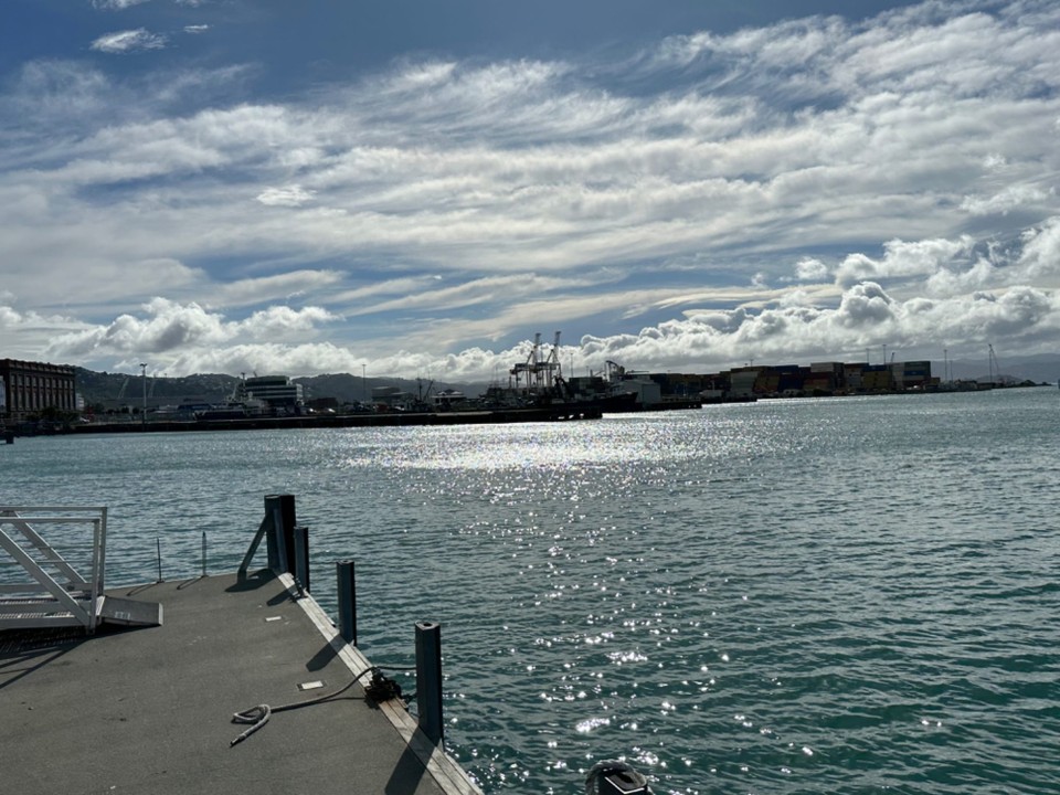 Neuseeland - Wellington - Blick auf das Hafenbecken 