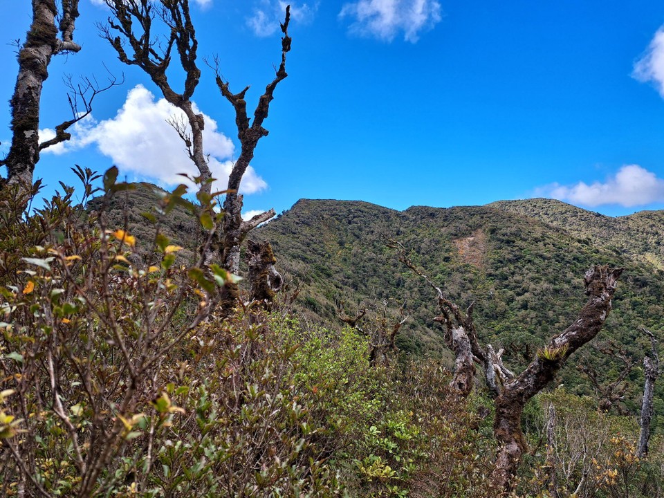 Neuseeland - Puketotara - 