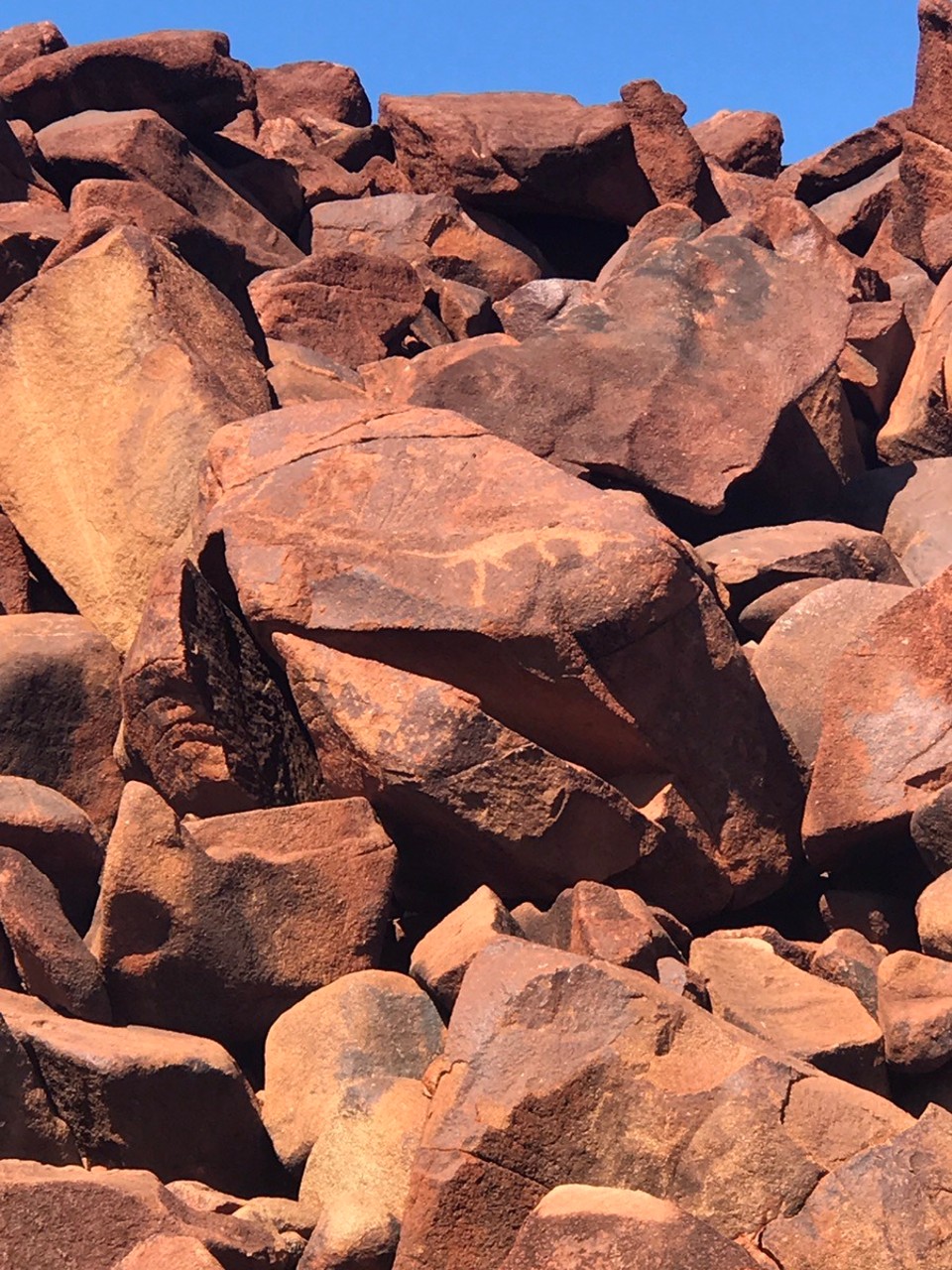  - Australia, Karratha - Can ya see the gecko!