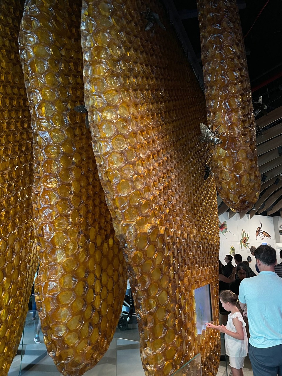 United States - Sleepy Hollow - museum