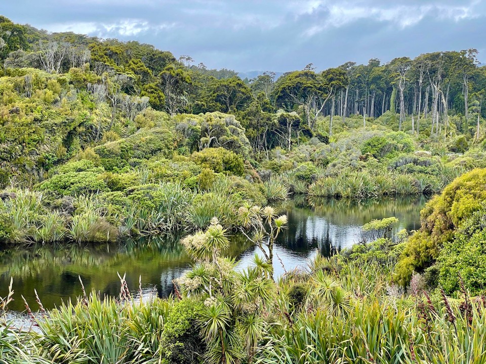 Neuseeland - Haast - 