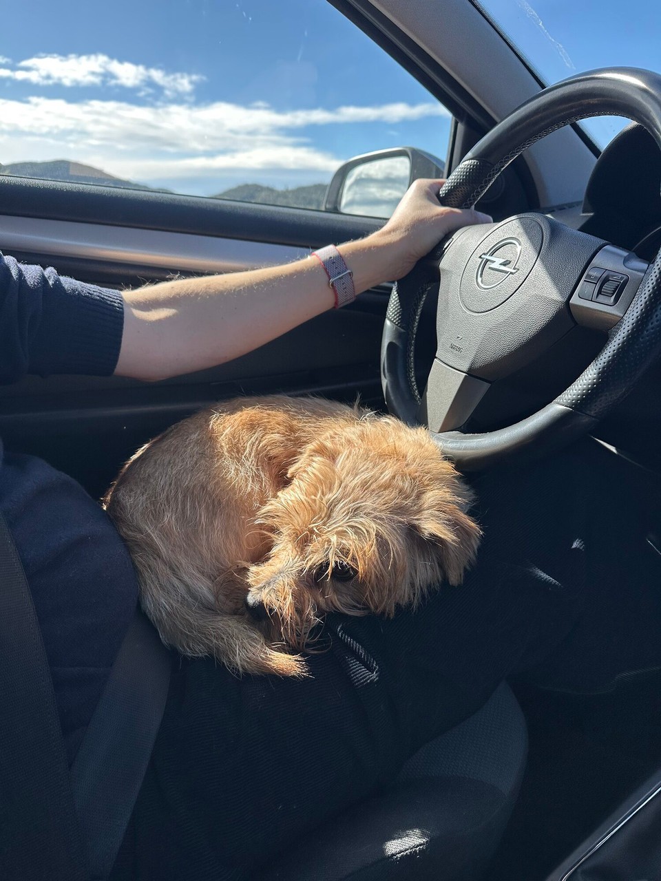 Spanien - Barcelona - 