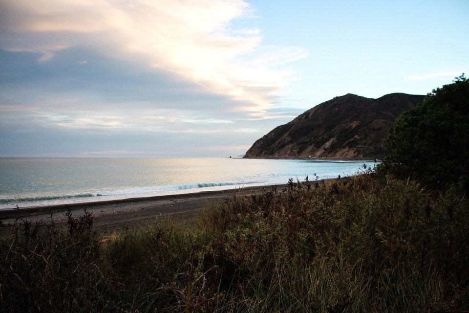 Neuseeland - Kaikoura Peninsula - 