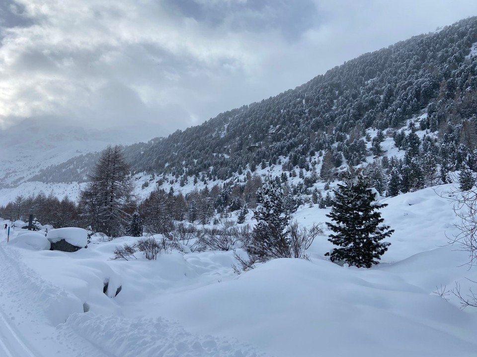 Schweiz - Pontresina - 