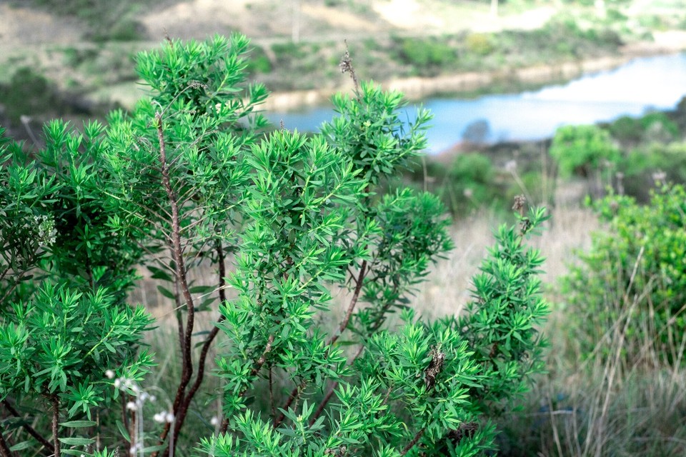 Portugal - Aljezur - 