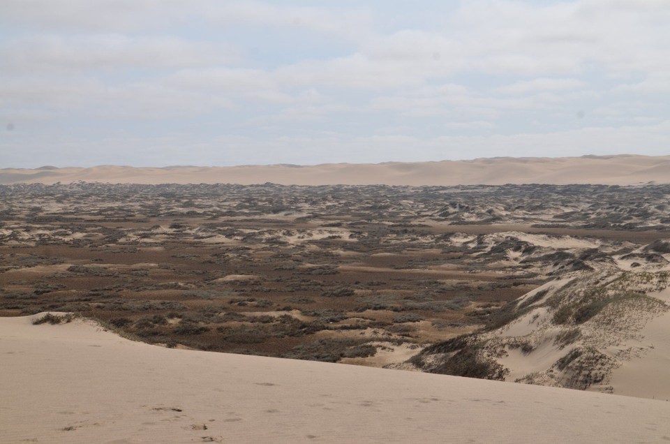 Namibia - Walfischbucht - Delta