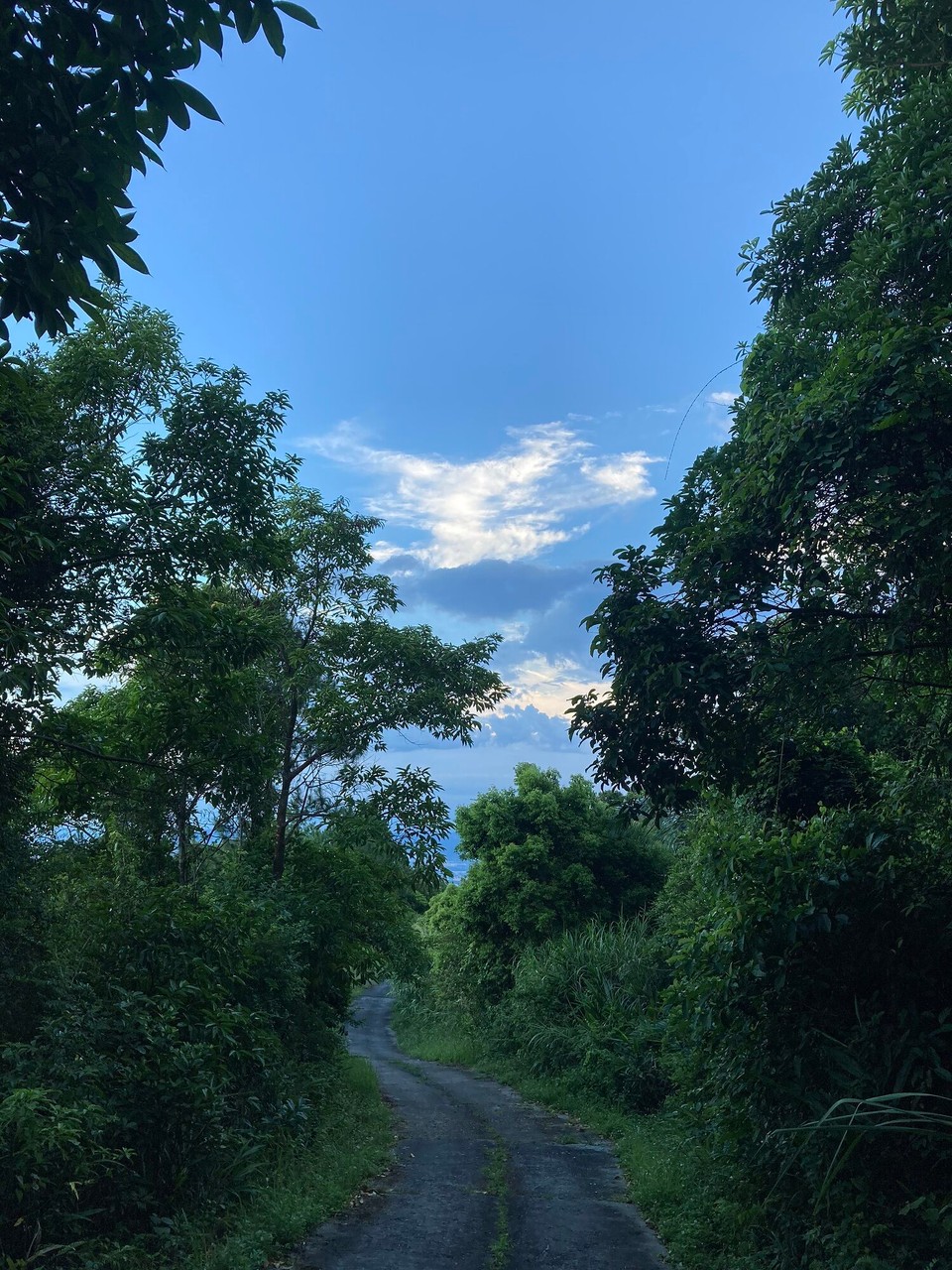 Vietnam - Da Nang - Ein kleines Stück hinauf, bis ganz zum Gipfel geht es leider nicht