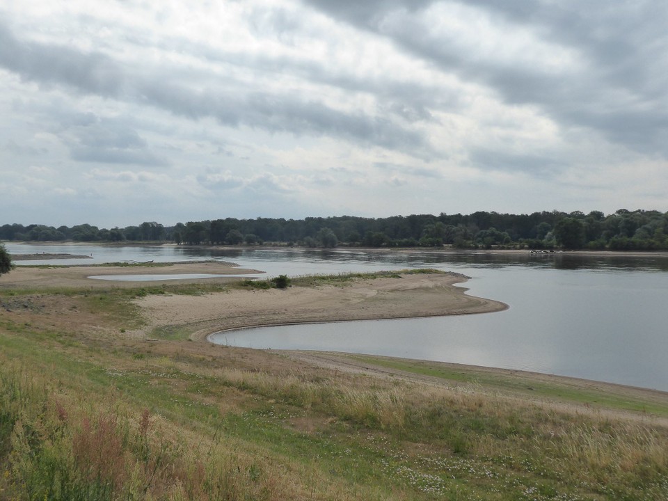Deutschland - Havelberg - Und wieder.........
Es war in der Tat ein wenig jakobswegmäßig. Kilometer um Kilometer immer auf den Deichen. So hatte ich es mir gewünscht.
