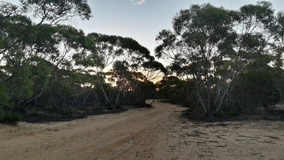 Australia - Big Desert - The driveway to the camp. We were the only ones there! No camp fire this night... The wind was strong and it was so dry! So we drank lots of wine instead. 