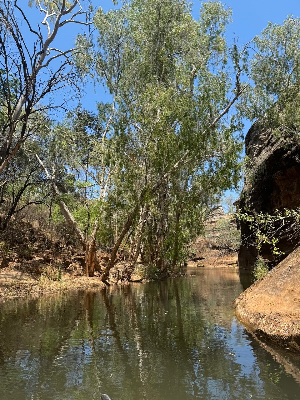 Australien - Forsayth - 