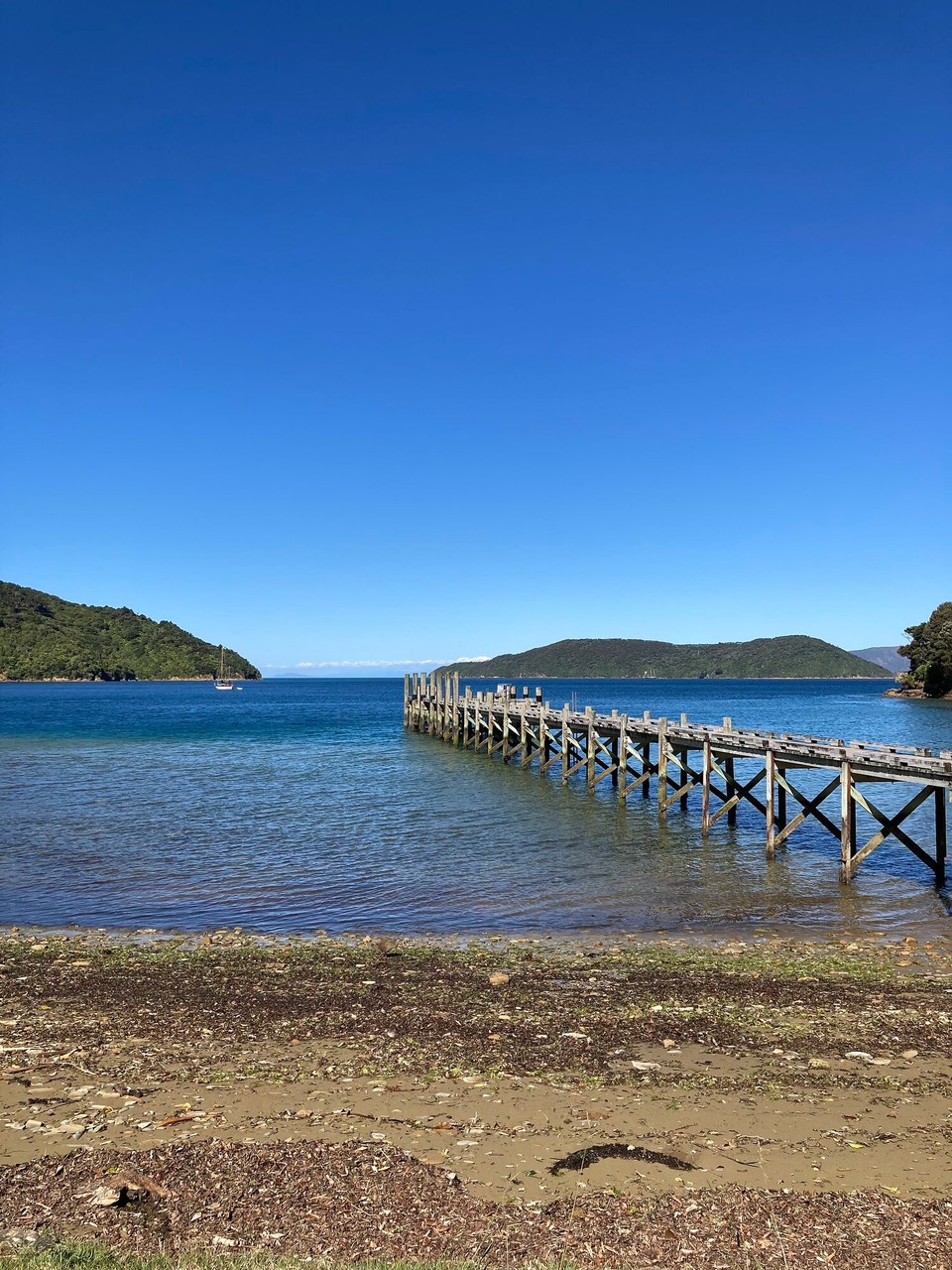 Neuseeland - Marlborough Sounds - 