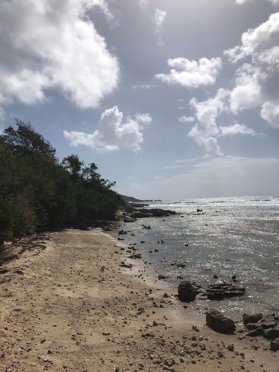 Guadeloupe -  - 