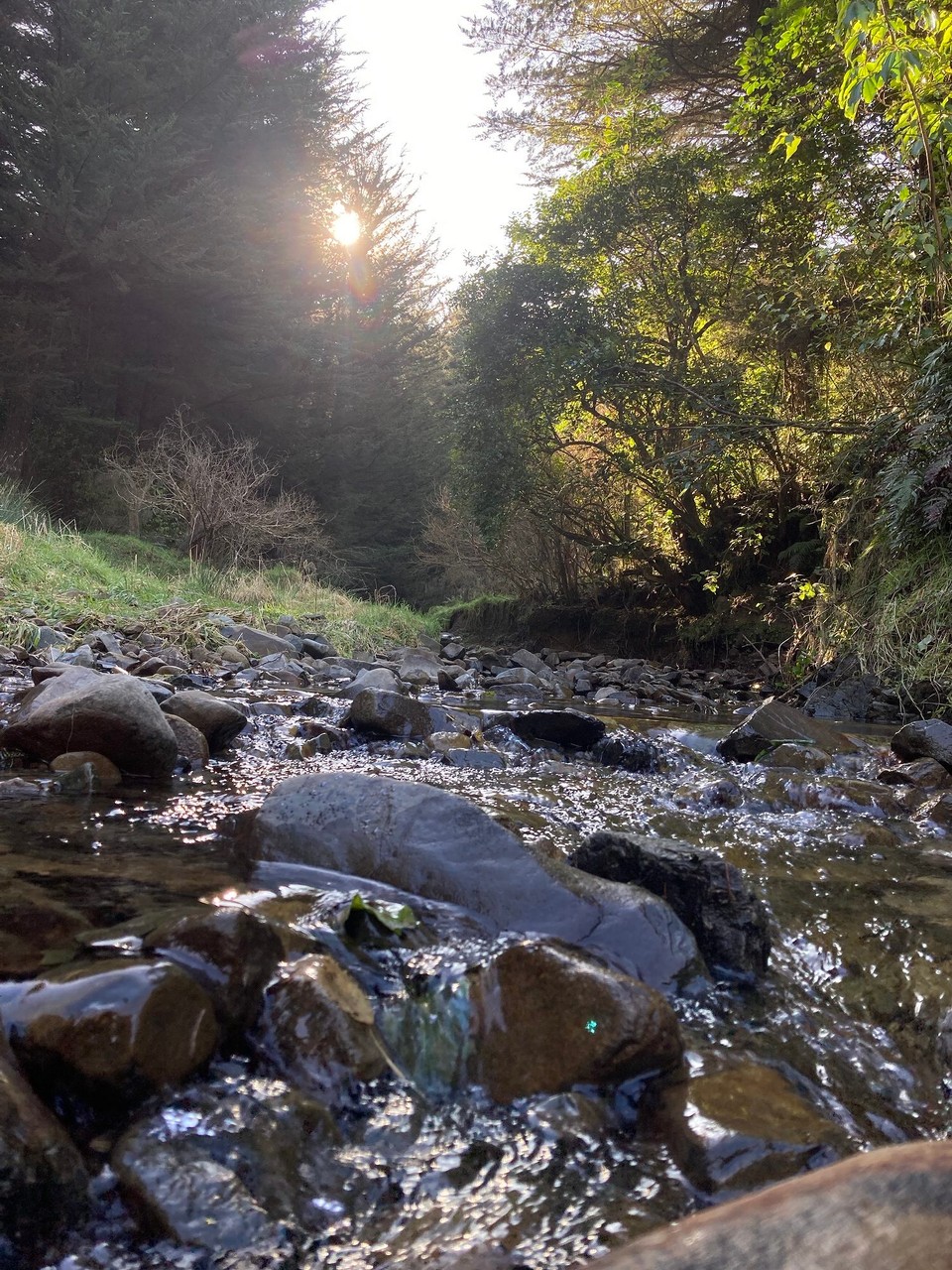 Neuseeland - Geraldine - Am Nachmittag ist somit wieder Zeit für einen kleinen Fahrradausflug 😀