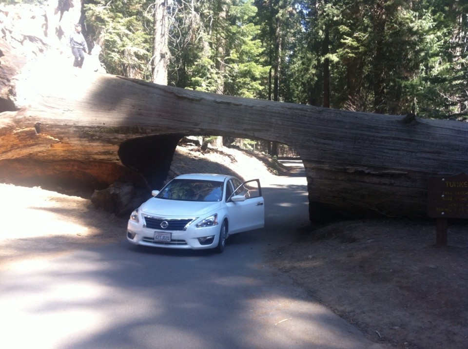Egyesült Államok - Sequoia National Park - 