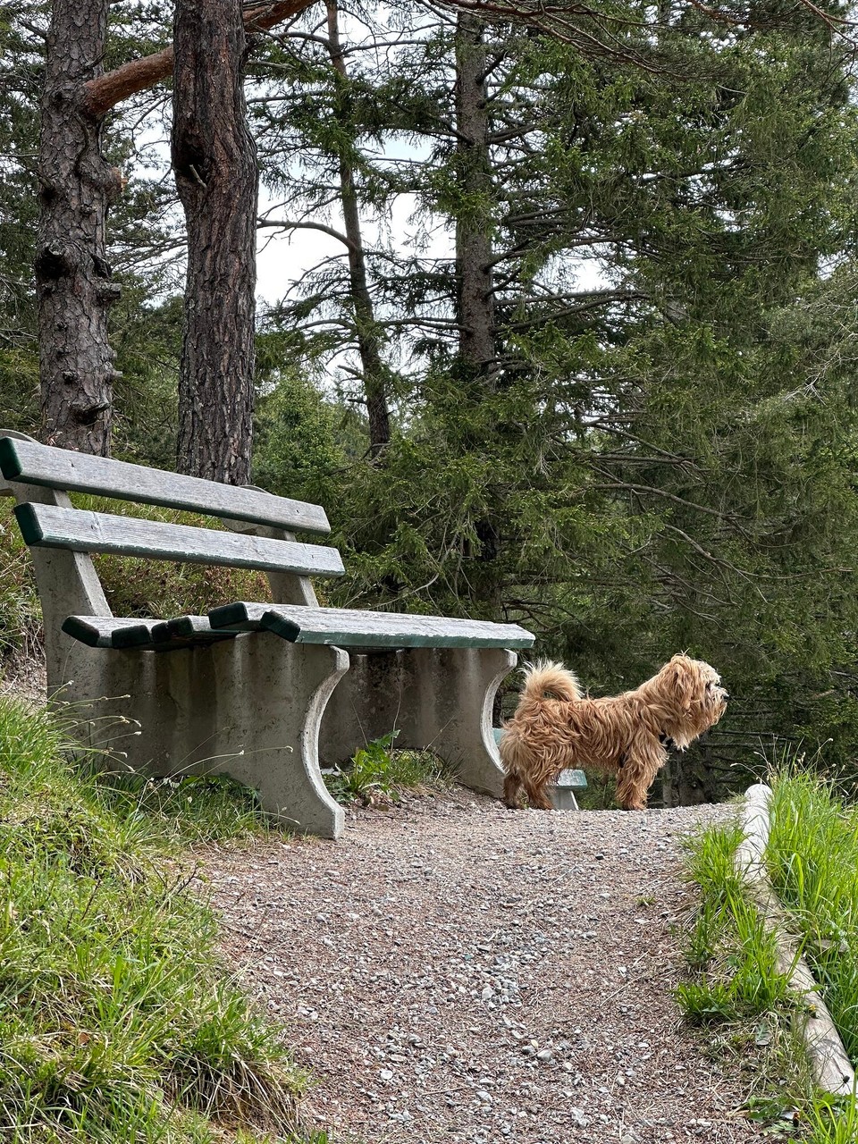 Deutschland - Mittenwald - 
