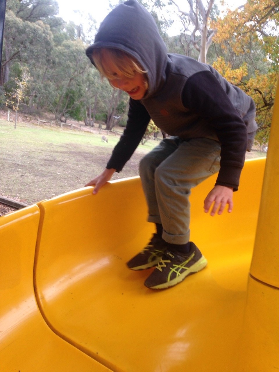 Australia - Burrinjuck - 