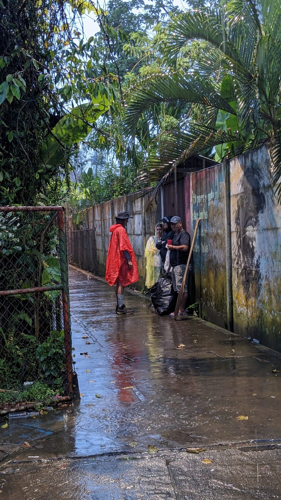 Costa Rica - Nationalpark Tortuguero - 