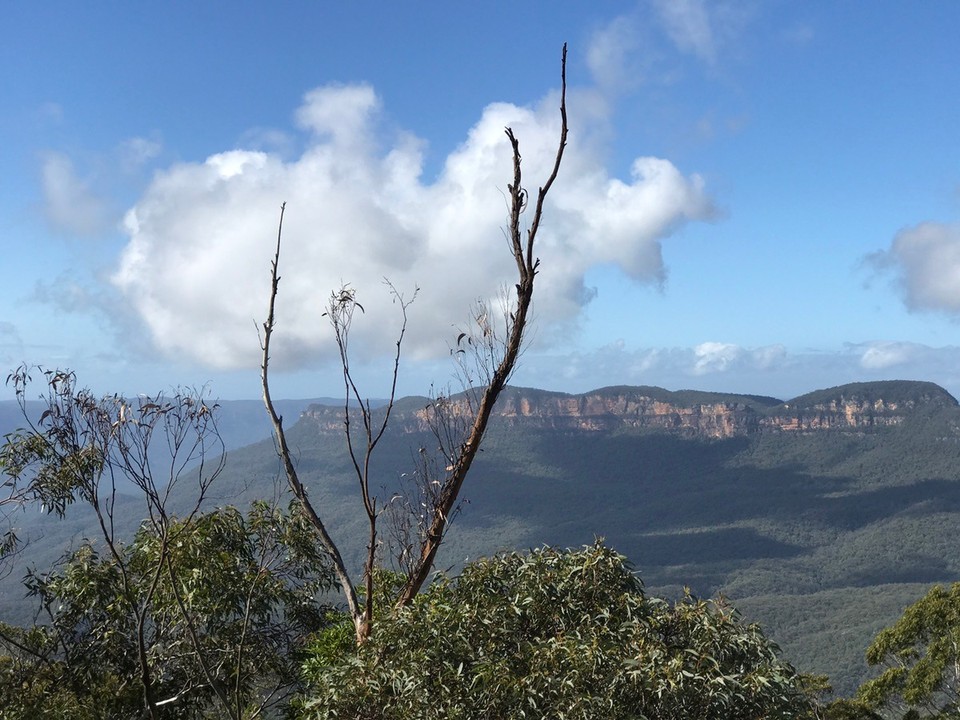 Australia - Katoomba - My attempt at arty farty photo!