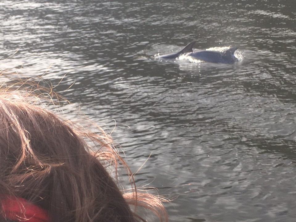 Neuseeland - Milford Sound - 