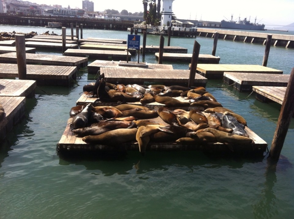 Egyesült Államok - San Francisco - 