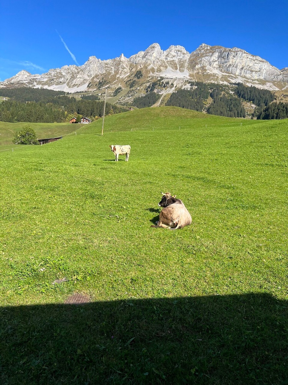 Schweiz - Riehen - …hach, ists schön oder doch ein wenig kitschig🤔😍❓Aber auf alle Fälle ganz und gar echt☝🏼🤓