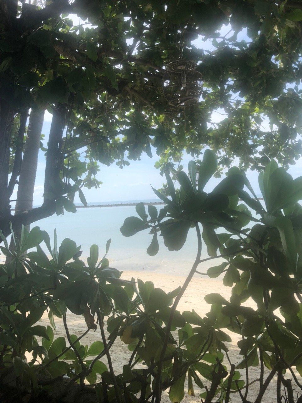 Thailand - Koh Samui - 