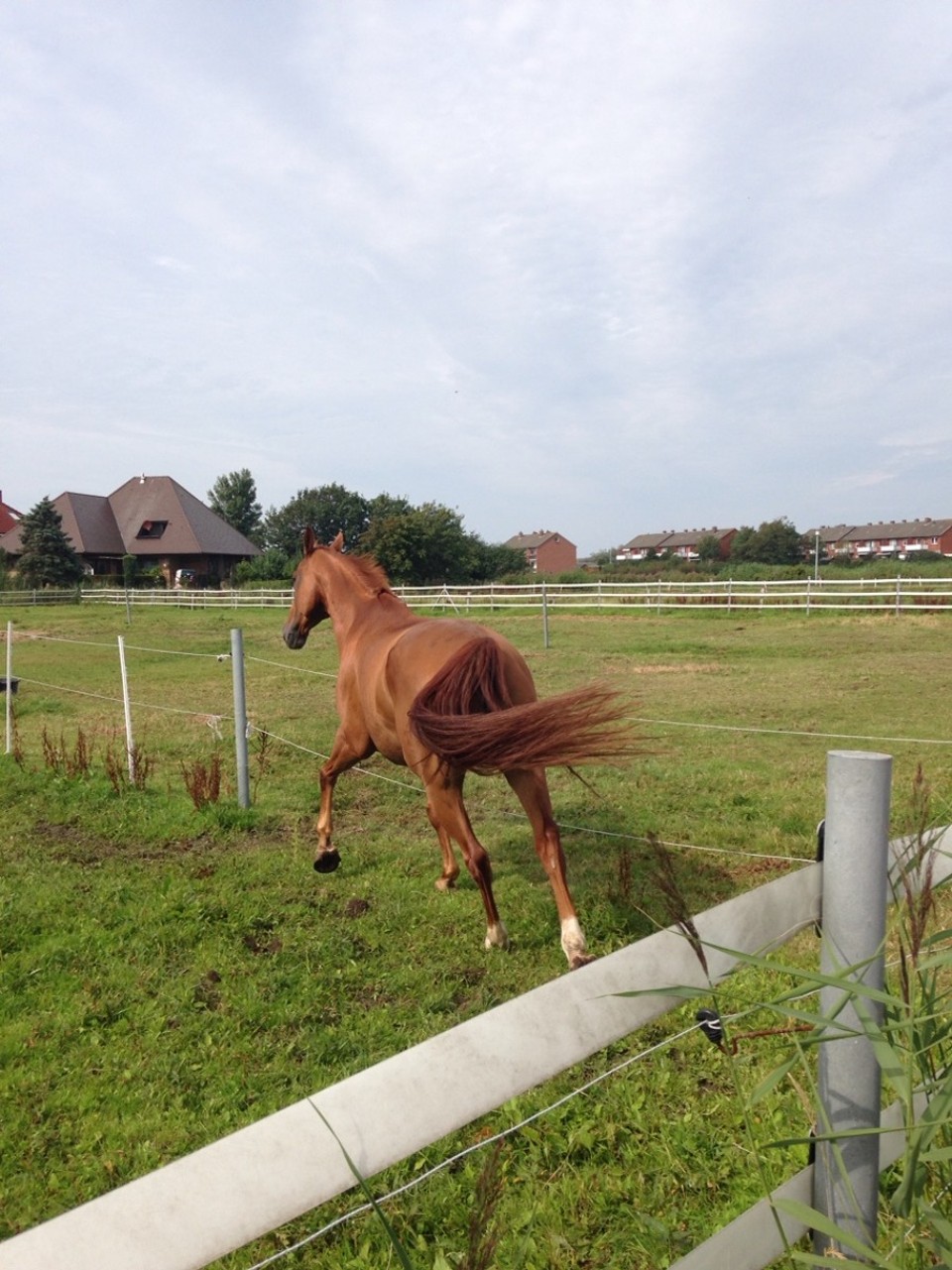 Deutschland - Borkum - having fun...