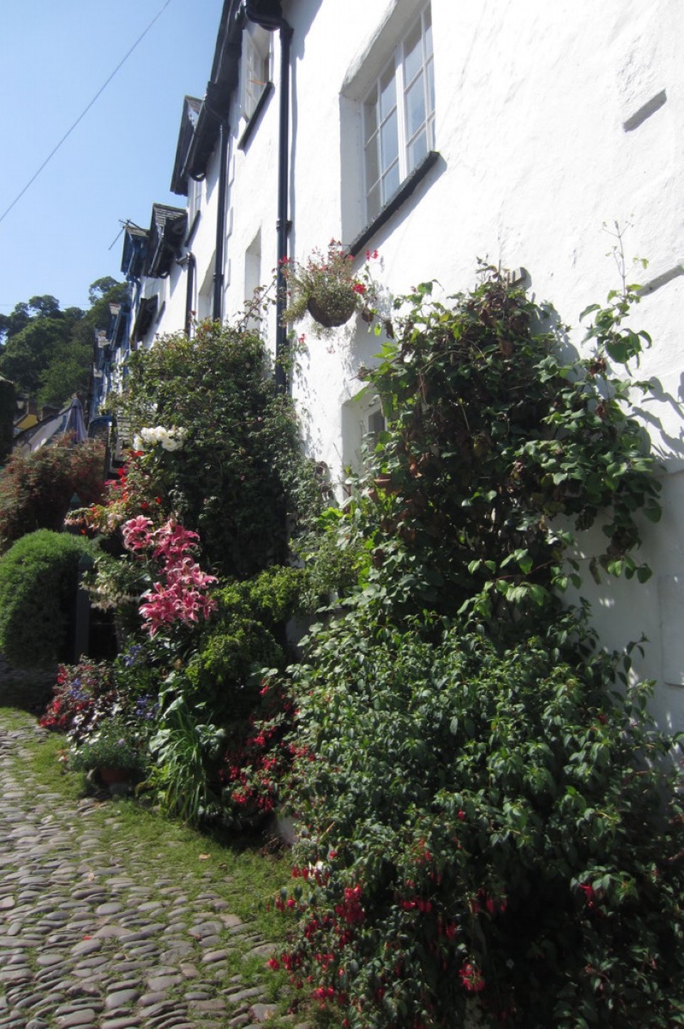 Vereinigtes Königreich - Clovelly - 