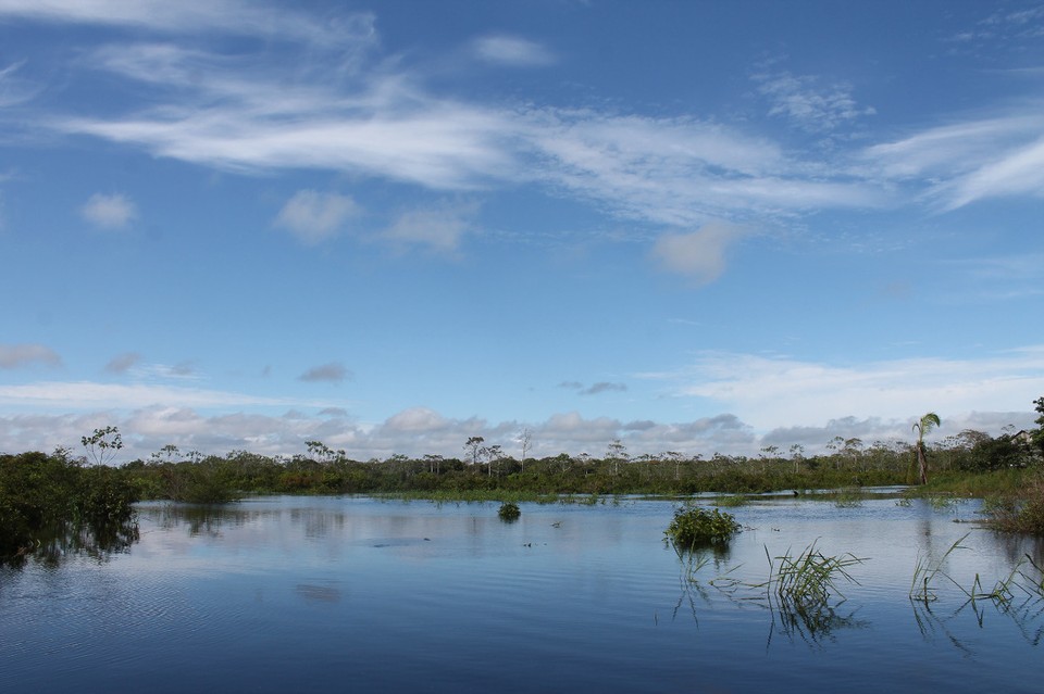 unbekannt - Rio Javari - wunderschöne Landschaft