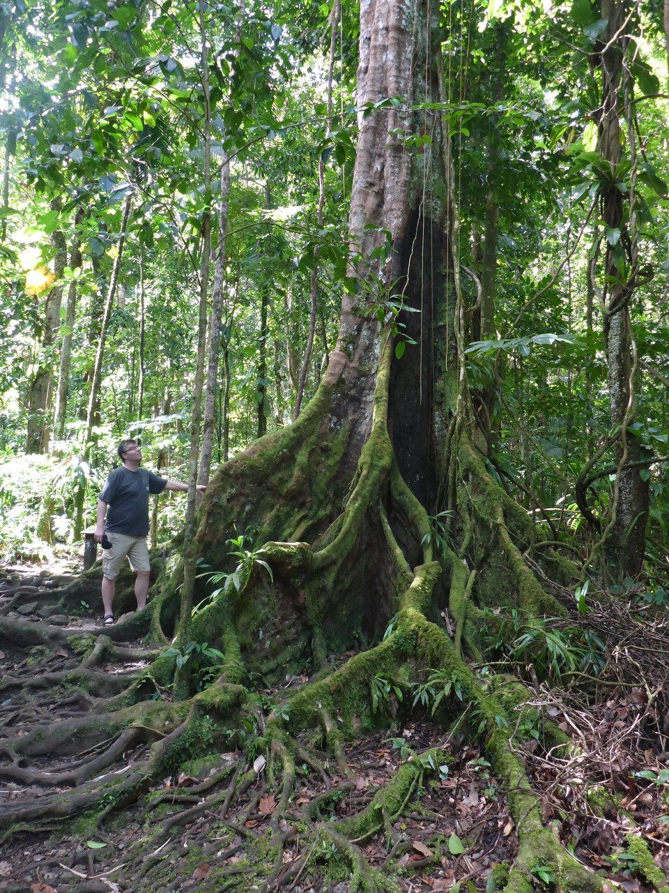 Guadeloupe - Pointe-à-Pitre - 