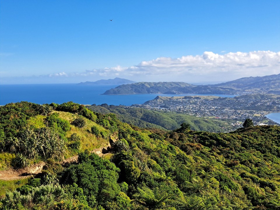 Neuseeland - Wellington - 
