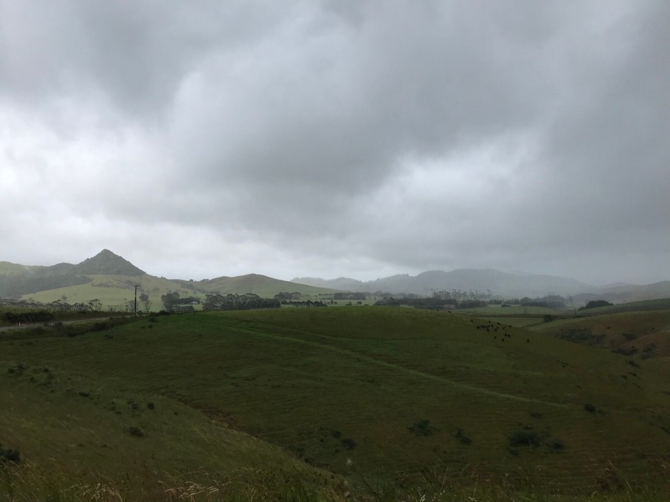 Neuseeland - Taupo Bay - Fahrt gen Norden es wird heller