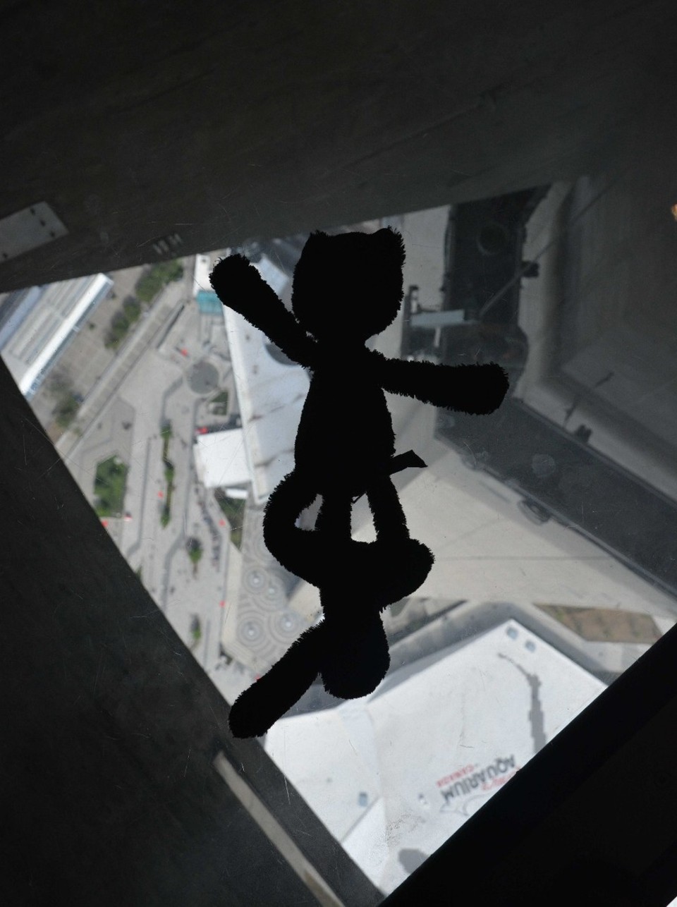 Canada - Toronto - A glass floor this high up? Aaahhhhhggg!!!!