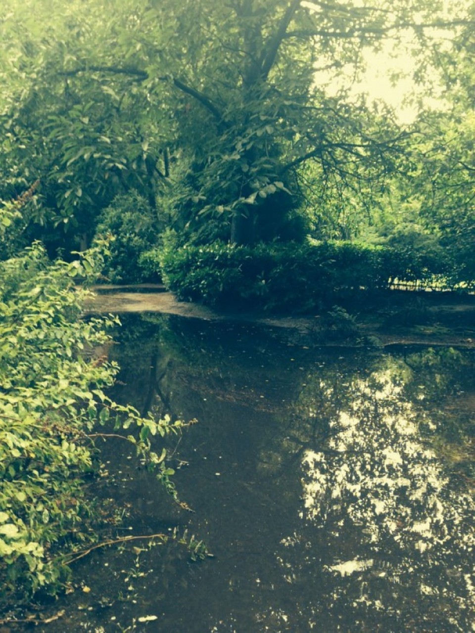 Niederlande - Tilburg - 
