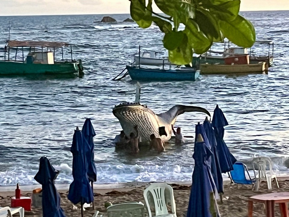 Brasilien - Salvador - 