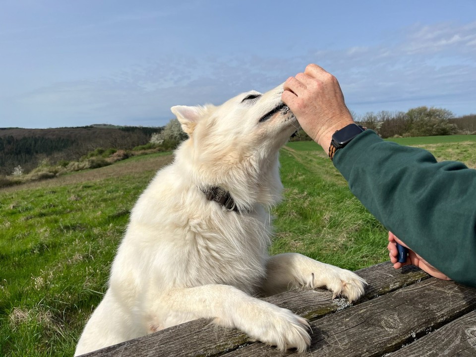Deutschland - Mörsdorf - Impressionen