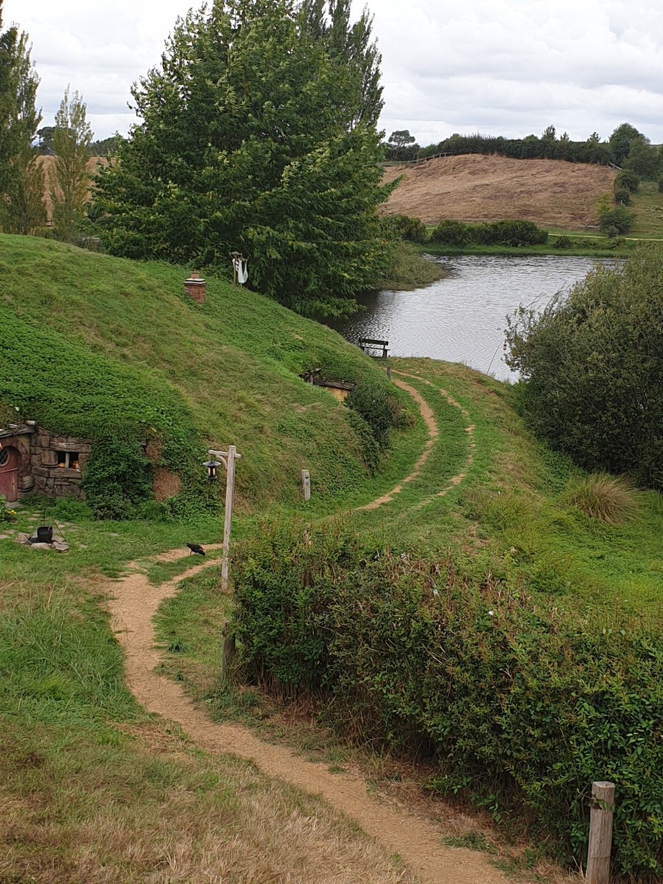 Neuseeland - Matamata - 