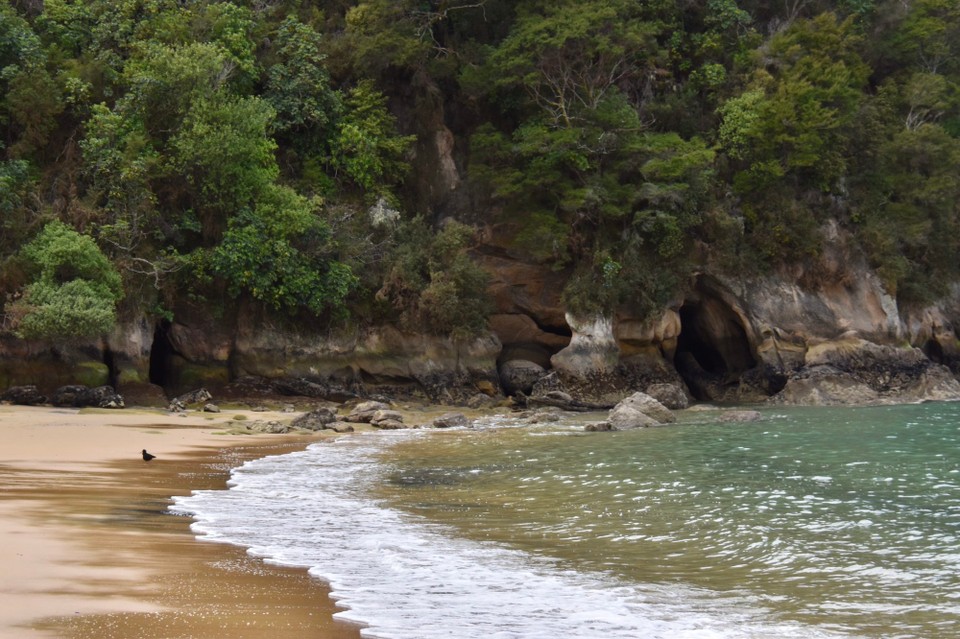 Neuseeland - Abel Tasman National Park - Auf der linken Seite der Bucht haben wir dann ein paar Höhlen entdeckt.