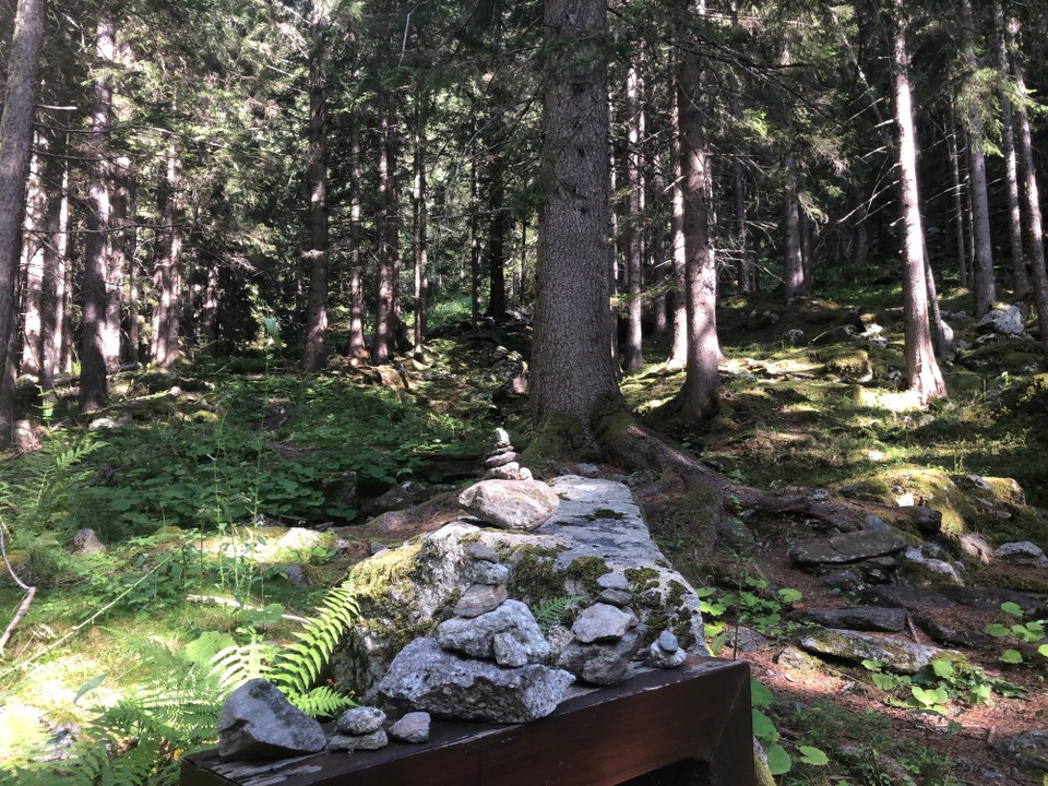 Frankreich - Chamonix - Wir waren Wandern in den Wäldern an Mont Blanc.