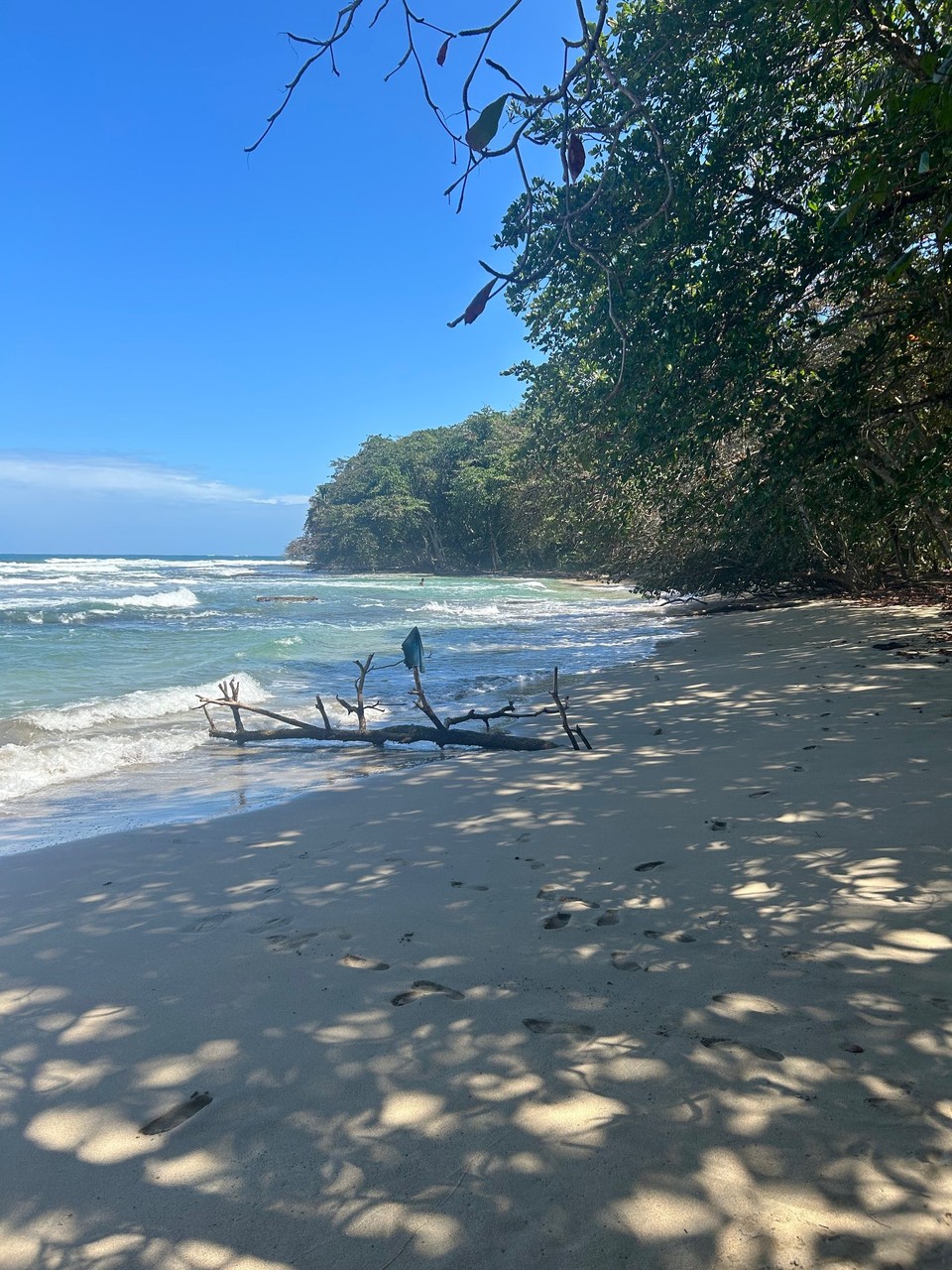Costa Rica - Puerto Viejo de Talamanca - 